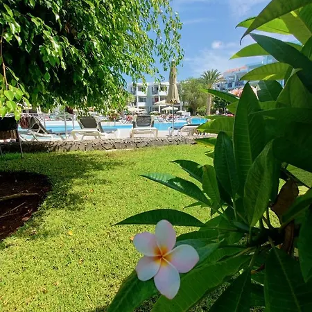 Private 150 Hg Tenerife Sur Los Cristianos (Tenerife)